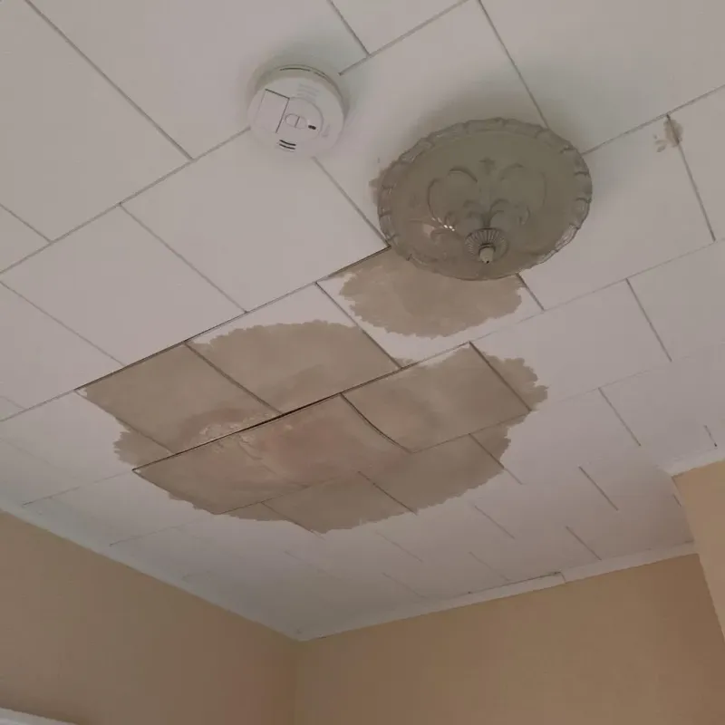 Ceiling Water Damage Repair in Westwood Lake, FL
