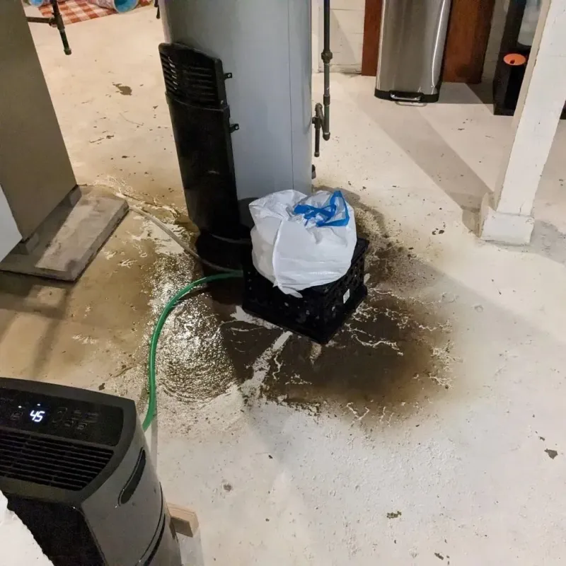 Sewage Backup Cleanup Service in Westwood Lake, FL